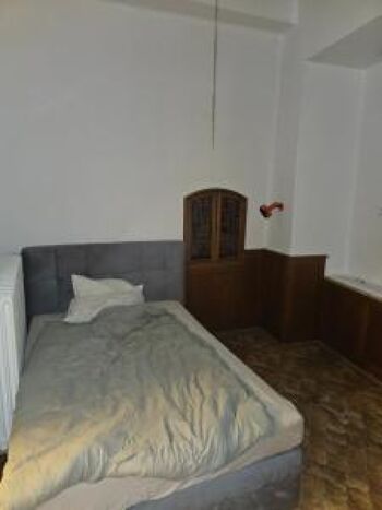 Rattebfänger Lebt Bild 3