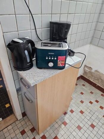 Rattebfänger Lebt Bild 5