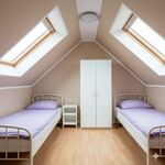 Monteurunterkünfte in Groß-Gerau – 24h Check-In Bild 2