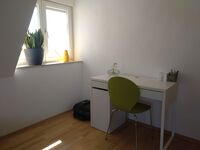 Renovierte Wohnung zu vermieten Bild 3