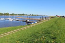 Blick auf die Elbe