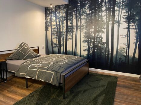Job and Sleep Apartment Magdeburg Picture 2