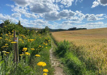 Mounteurzimmer Bauernschmause, Polch, Eifel, Koblenz, A48 Obrázok 1