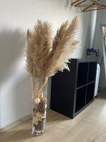 Ferienwohnung Rock Bild 14