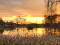 Gästezimmer Schneider Bild 15