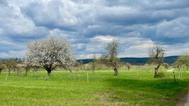 Ferienhaus Ottmar Bild 11