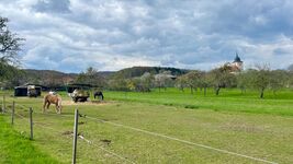 Ferienhaus Ottmar Bild 7