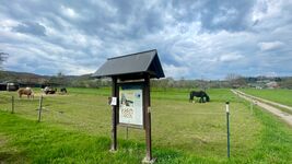 Ferienhaus Ottmar Bild 6