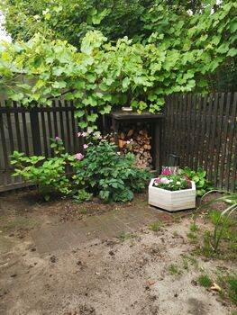 Möbliertes Holzhaus mit Garten - Monteurunterkunft Bild 5