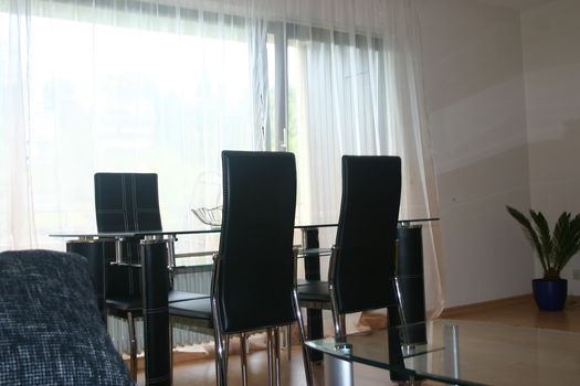 Ferienwohnung ILINZER Picture 2