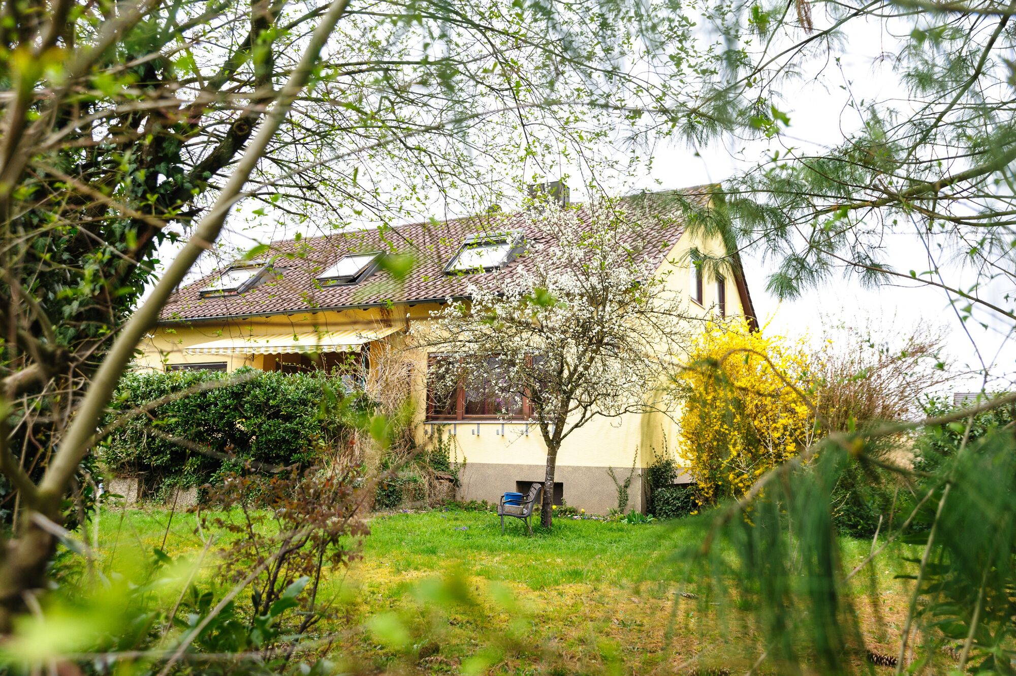 Bild 1