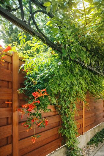 Monteurswohmung Zur Linde Bild 3