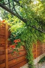 Monteurswohmung Zur Linde Bild 4