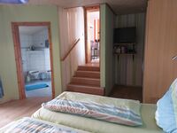 Freizeit- und Ferienreiterhof Odenwald Bild 14