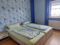 Freizeit- und Ferienreiterhof Odenwald Bild 13