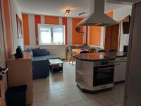 Freizeit- und Ferienreiterhof Odenwald Bild 11