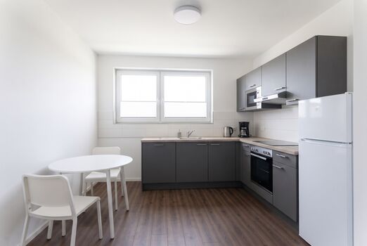 Business Apartment Niederursel Picture 2