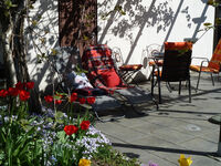 Ferienwohnung Gerth Bild 10