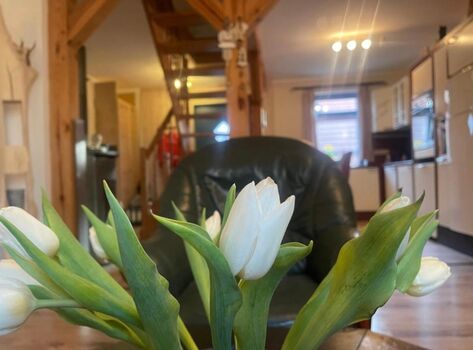 Tannenhaus Picture 4