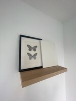 Apartment Lüdenscheid - Zentral & Ruhig mit Balkon Bild 5