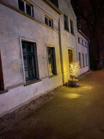 Wohnung Kellermann Picture 4