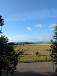 Ferienwohnung Seeling Weserbergland Bild 6