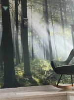 GRÜN - möbliertes Wohnen mit 2 Schlafzimmern in Siegen Bild 10
