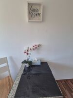 Gepflegtes Studio in zentraler Lage Bild 5