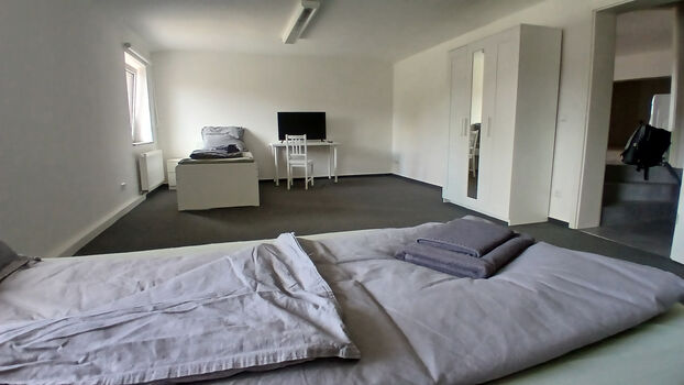 Apartments Leuna Haupttor | 5 Min Merseburg / Bad Dürrenberg Bild 4