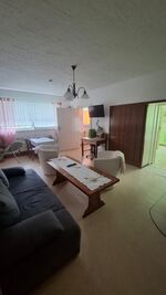Wohnzimmer mit Sofa auch als Schlaffunktion