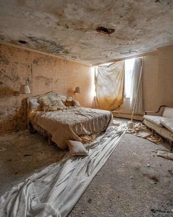 Wohnung Gondlach