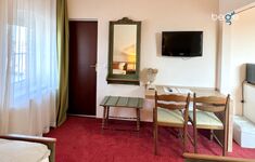 Heller Wohn- und Schlafbereich mit Smart-TV und Essplatz