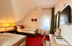 Heller Wohn- und Schlafbereich mit Smart-TV und Essplatz