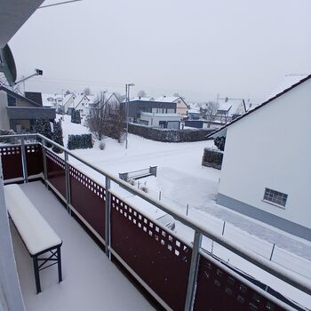 Wohnung Netzer Bild 4