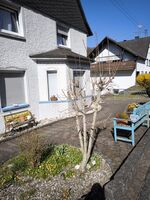 Ferienwohnung Sander Bild 25