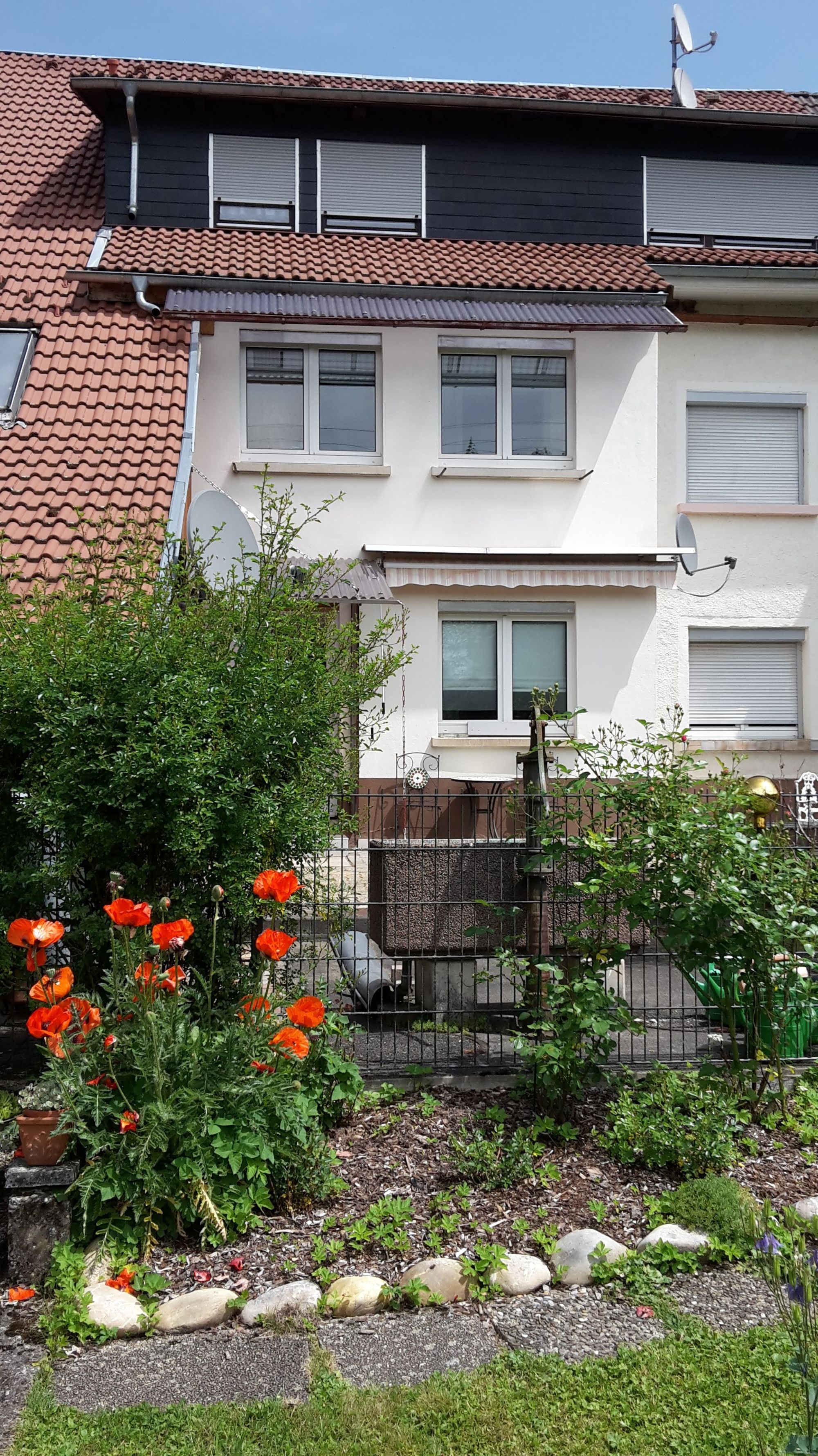 Ausblick inden Garten