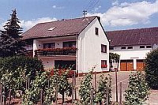 Weingut-Pension Schiff Zdjęcie 3