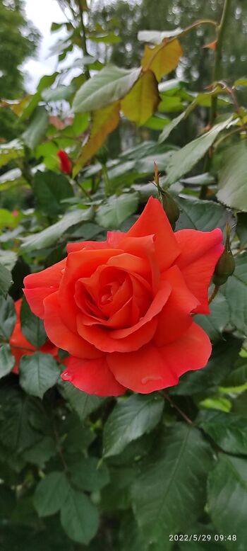 Villa Kunterbunt Berlin