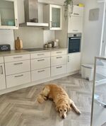 Ferienwohnung Rehblick Bild 8