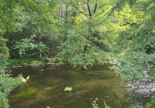 Monteurzimmer,Unterkunft,Pension, im Blankenburg,Thale, Harz Bild 2