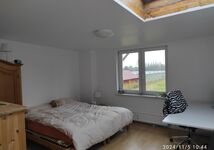 möblierte Zimmer und Appartements für bis zu 7 Pers Bild 7