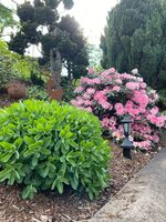 Wohnung Durschang Bild 12