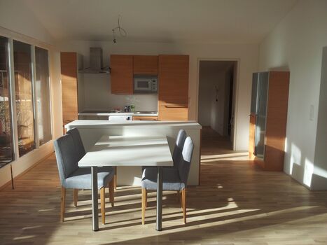 Traunapartment-EZ-Parkplatz-24/7-Balkon-Zentrale Lage-WLA Bild 3