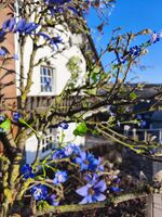 Dottie's Place Bild 17