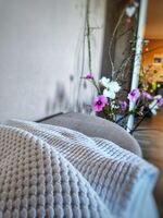 Dottie's Place Bild 9