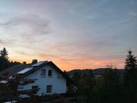Dottie's Place Bild 21