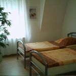 Apartment- / Zimmer- Vermietung in Essen Bild 1