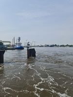 Ausblick auf der Fähre