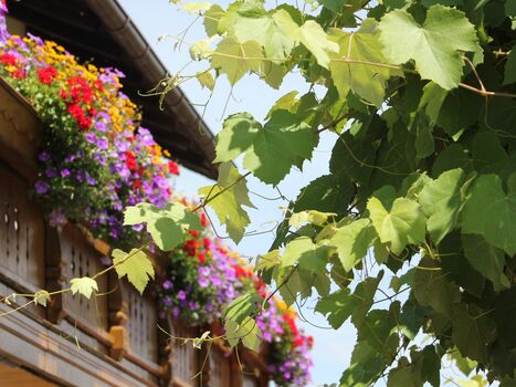 Pension zum Krug Obrázok 2