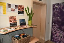 Wohnung Thein Bild 5